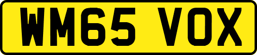 WM65VOX