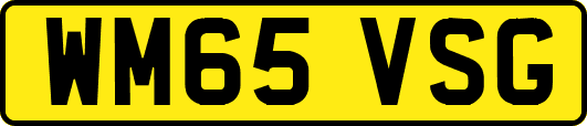 WM65VSG