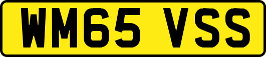 WM65VSS
