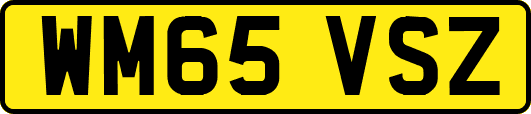 WM65VSZ