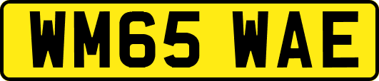WM65WAE