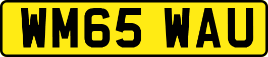 WM65WAU
