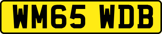 WM65WDB