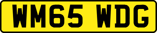 WM65WDG