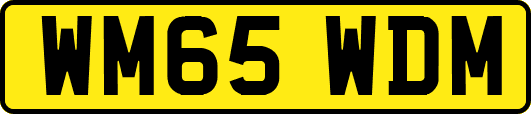 WM65WDM