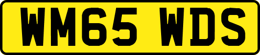 WM65WDS