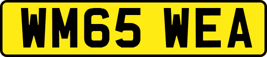 WM65WEA