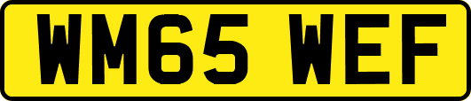 WM65WEF