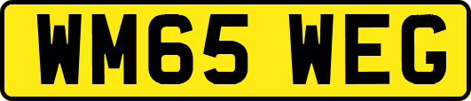 WM65WEG
