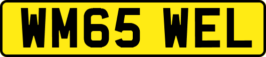 WM65WEL