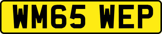 WM65WEP