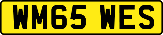 WM65WES