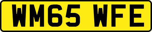 WM65WFE