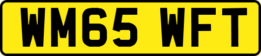 WM65WFT
