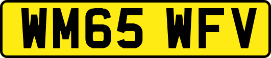 WM65WFV