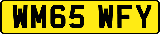 WM65WFY