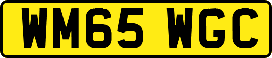 WM65WGC
