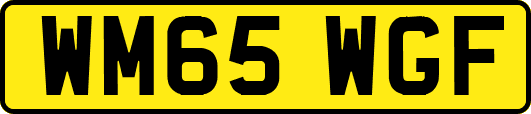 WM65WGF