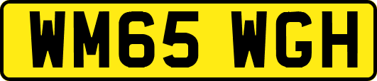 WM65WGH