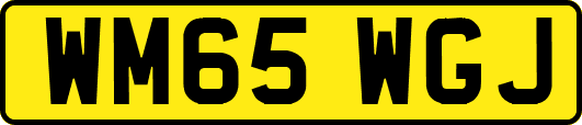 WM65WGJ