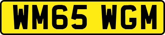 WM65WGM