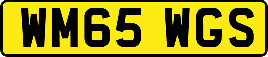 WM65WGS
