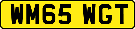 WM65WGT