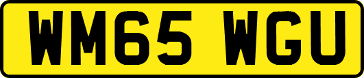 WM65WGU