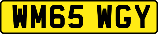 WM65WGY
