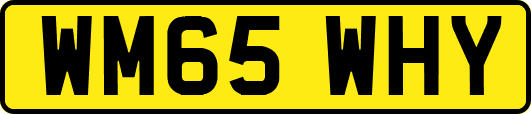 WM65WHY