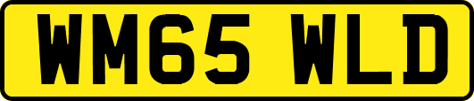 WM65WLD