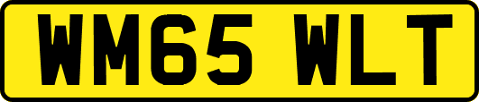 WM65WLT