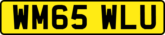 WM65WLU