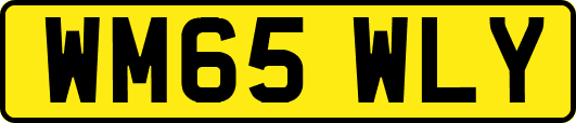 WM65WLY