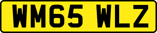 WM65WLZ