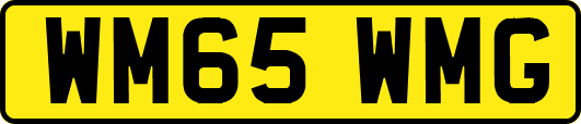 WM65WMG