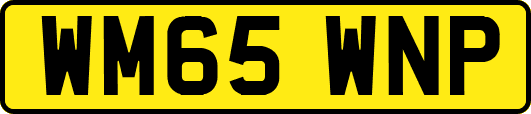 WM65WNP