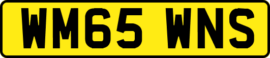 WM65WNS