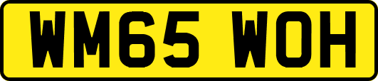 WM65WOH