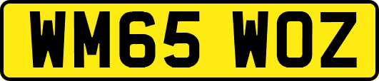 WM65WOZ