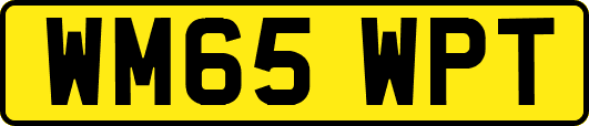 WM65WPT