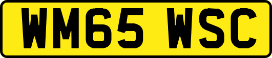 WM65WSC