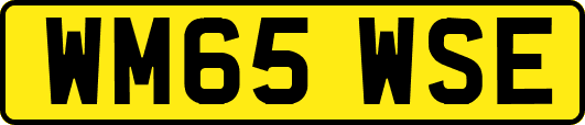 WM65WSE