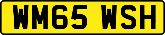 WM65WSH