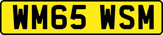 WM65WSM