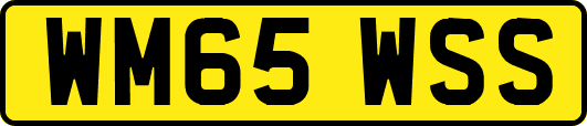WM65WSS