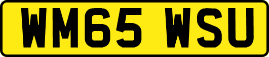 WM65WSU