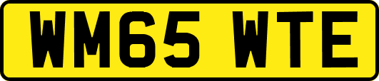 WM65WTE