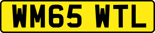 WM65WTL