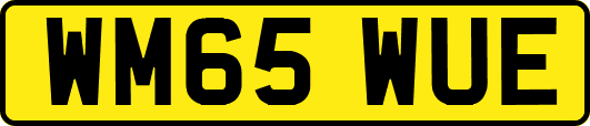 WM65WUE